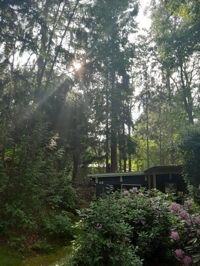 Отель De Boshut Vledder Экстерьер фото